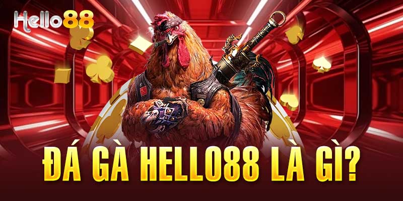 đá gà Hello88